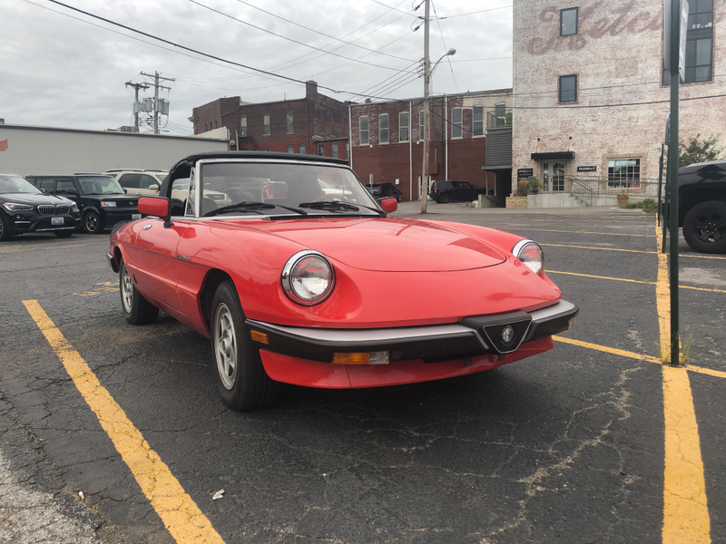 Illustration for article titled DOTS - Alfa Romeo in southern Illinois